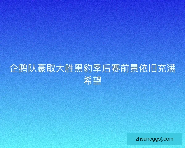 企鹅队豪取大胜黑豹季后赛前景依旧充满希望
